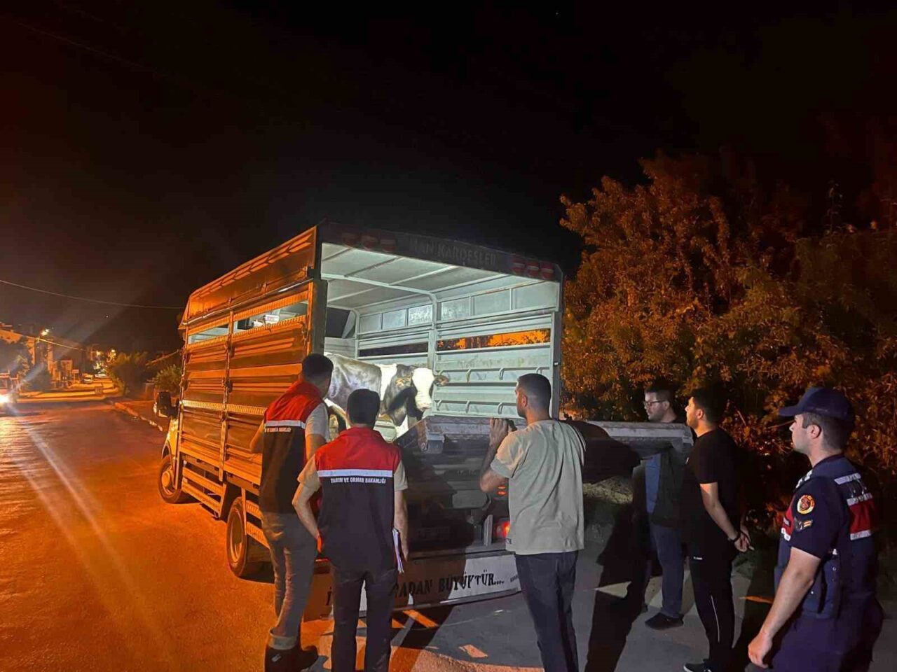 Yozgat’ın Çayıralan ilçesinde şap hastalığı tedbirlerine uymayan besiciye 105 bin