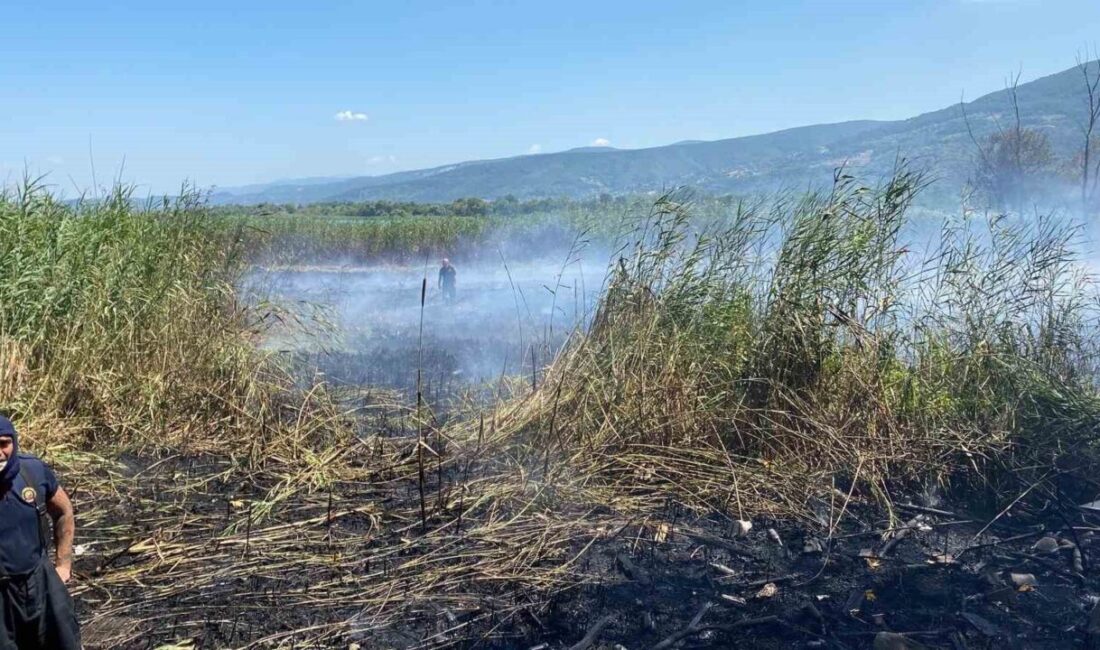 Sapanca Gölü’nün Kocaeli’nin Kartepe ilçesi sınırlarında kalan bölümündeki sazlık alanda