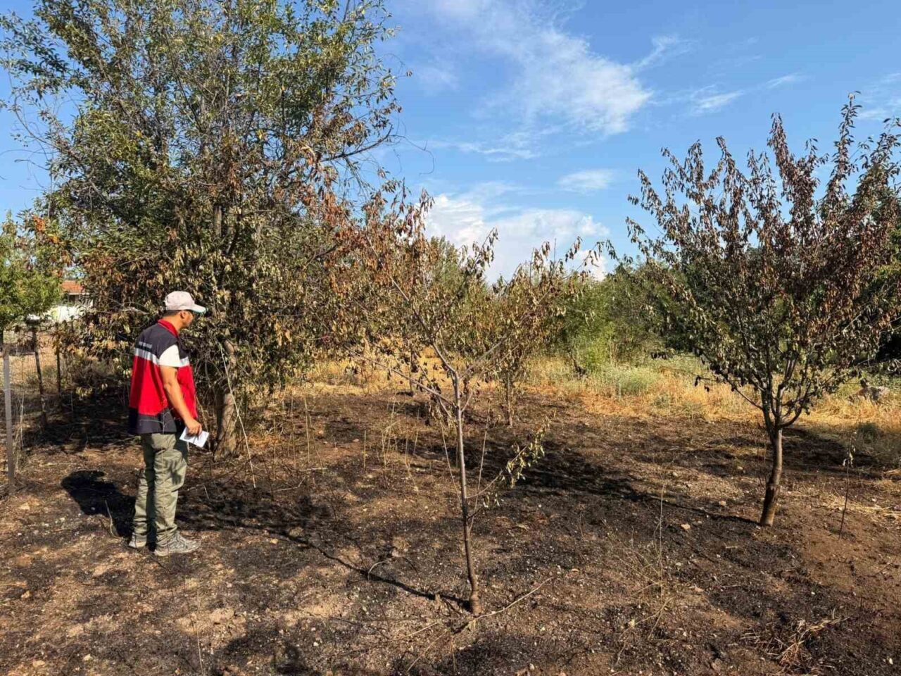 Kütahya’nın Şaphane ilçesinde meyve bahçesine yıldırım düşmesiyle çıkan yangının hasar