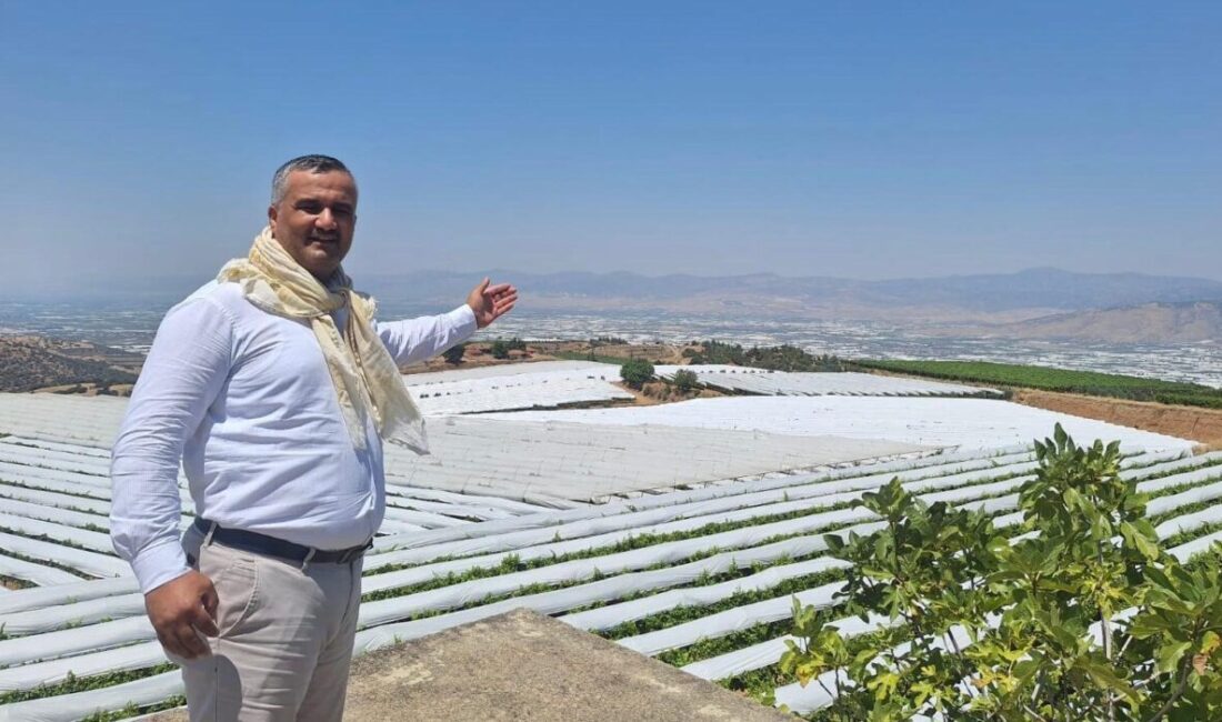Manisa’nın Sarıgöl Ovası’nda, dünyaca ünlü çekirdeksiz sofralık Sultaniye üzüm bağlarında