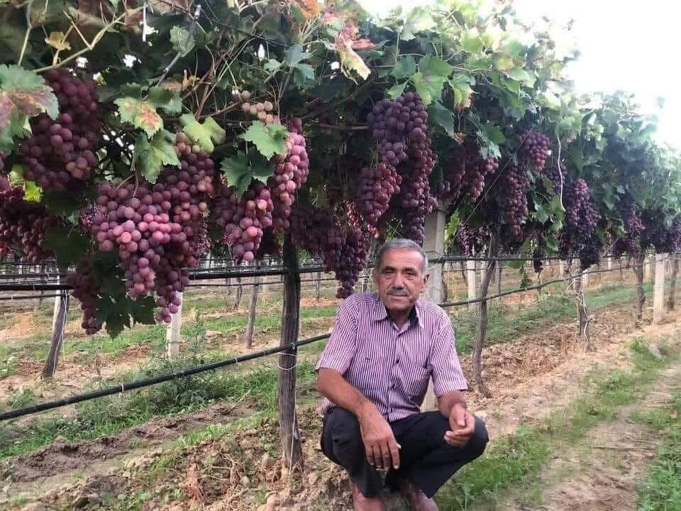 Manisa’nın Sarıgöl ilçesinde, 2025 yılı üzüm sezonu öncesi tarım işçilerinin