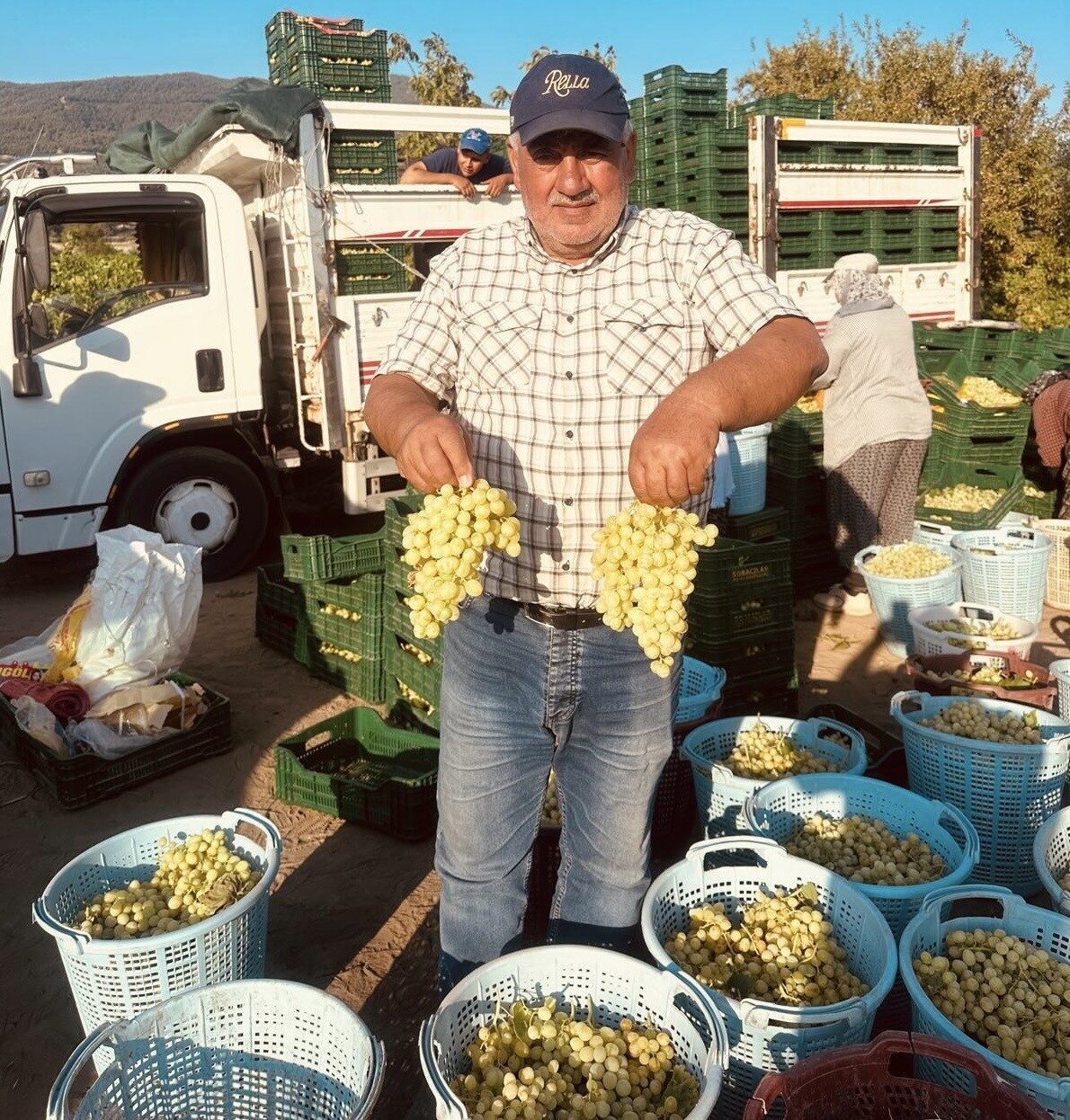 MANİSA (İHA) – Türkiye’nin üzüm üretiminde en önde gelen şehirlerinden