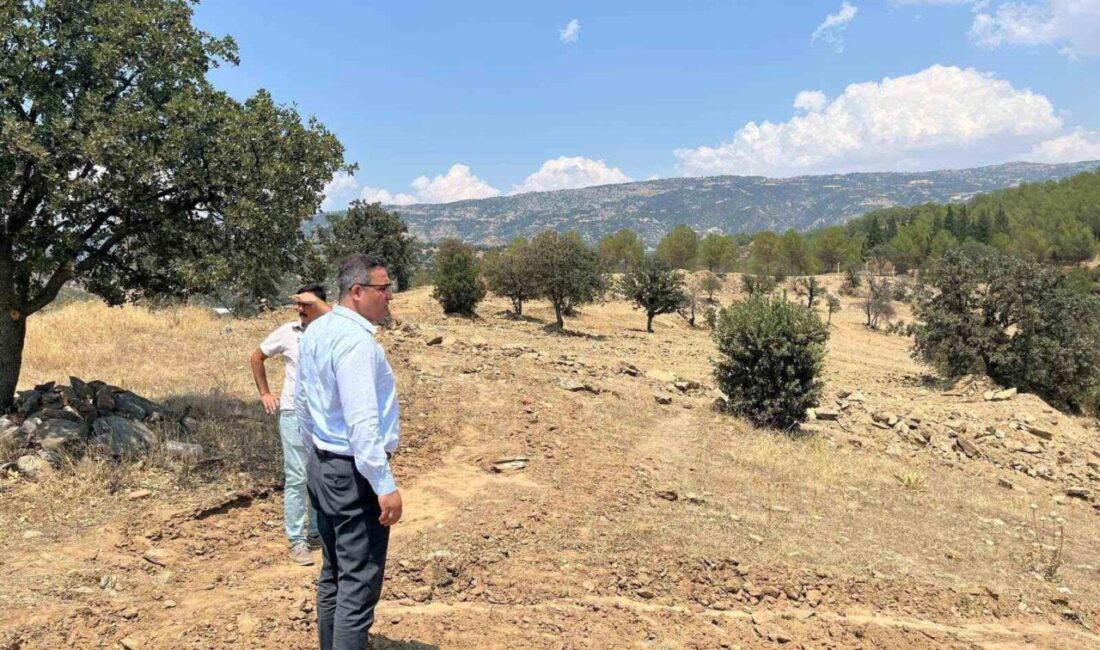 Manisa’nın Sarıgöl ilçesinde, sokak hayvanları için yapılması planlanan doğal yaşam