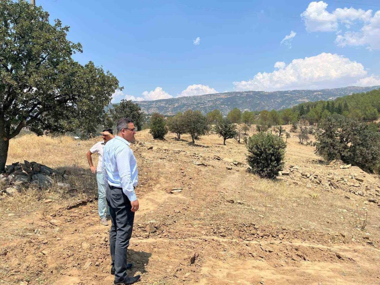 Manisa’nın Sarıgöl ilçesinde, sokak hayvanları için yapılması planlanan doğal yaşam