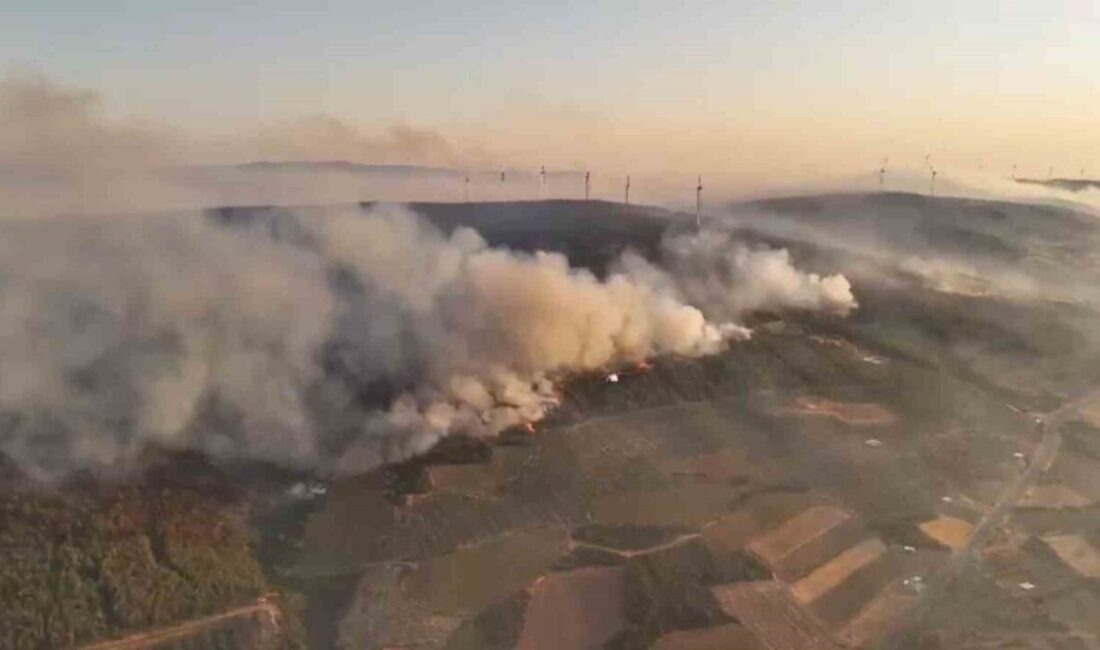 Tekirdağ’ın Şarköy ilçesinde 22 saattir devam eden orman yangınına müdahale
