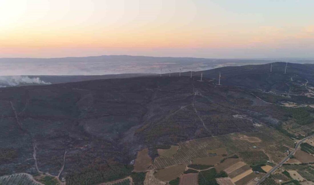 Tekirdağ’ın Şarköy ilçesi İstiklal Mahallesi’nde tarım arazisinde başlayıp ormana sıçrayan