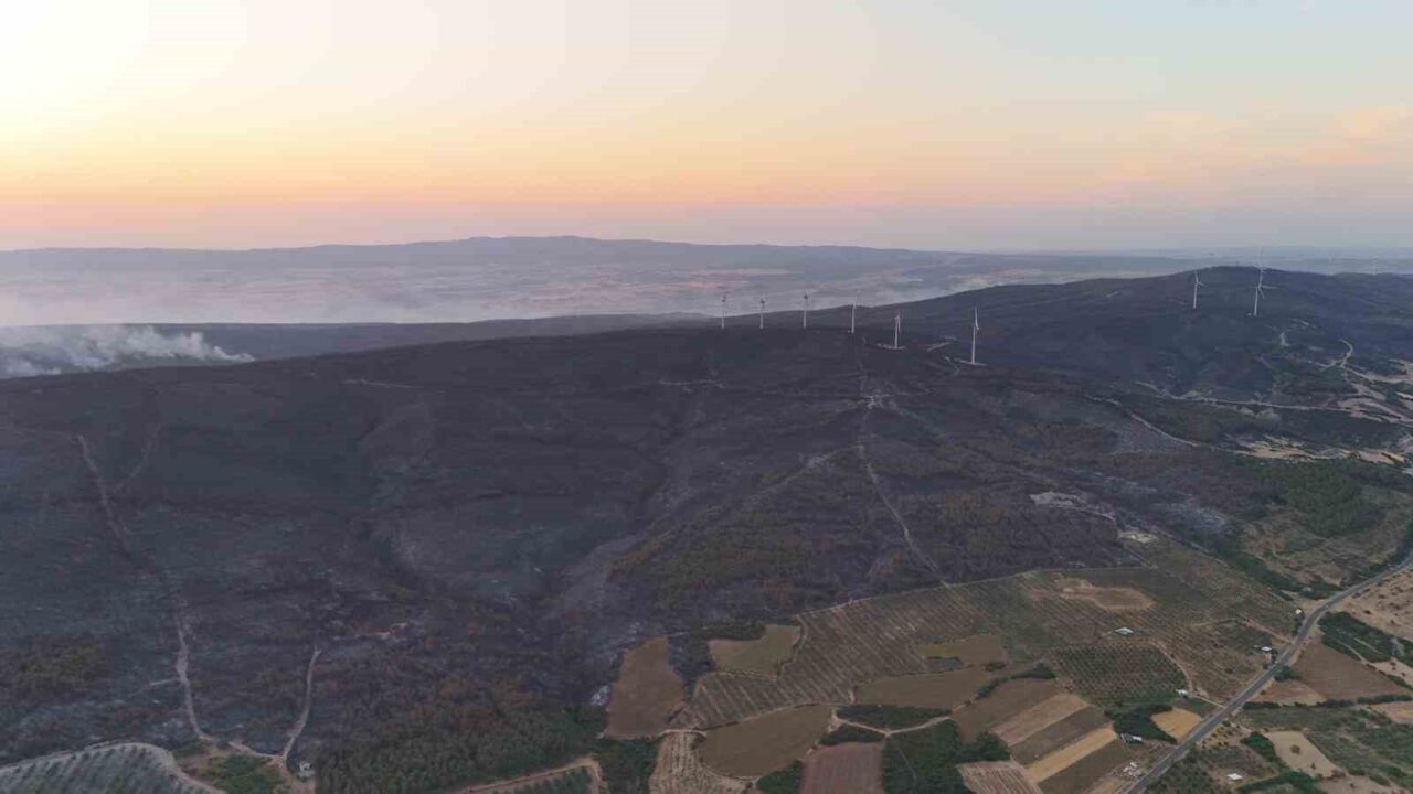 Tekirdağ’ın Şarköy ilçesi İstiklal Mahallesi’nde tarım arazisinde başlayıp ormana sıçrayan