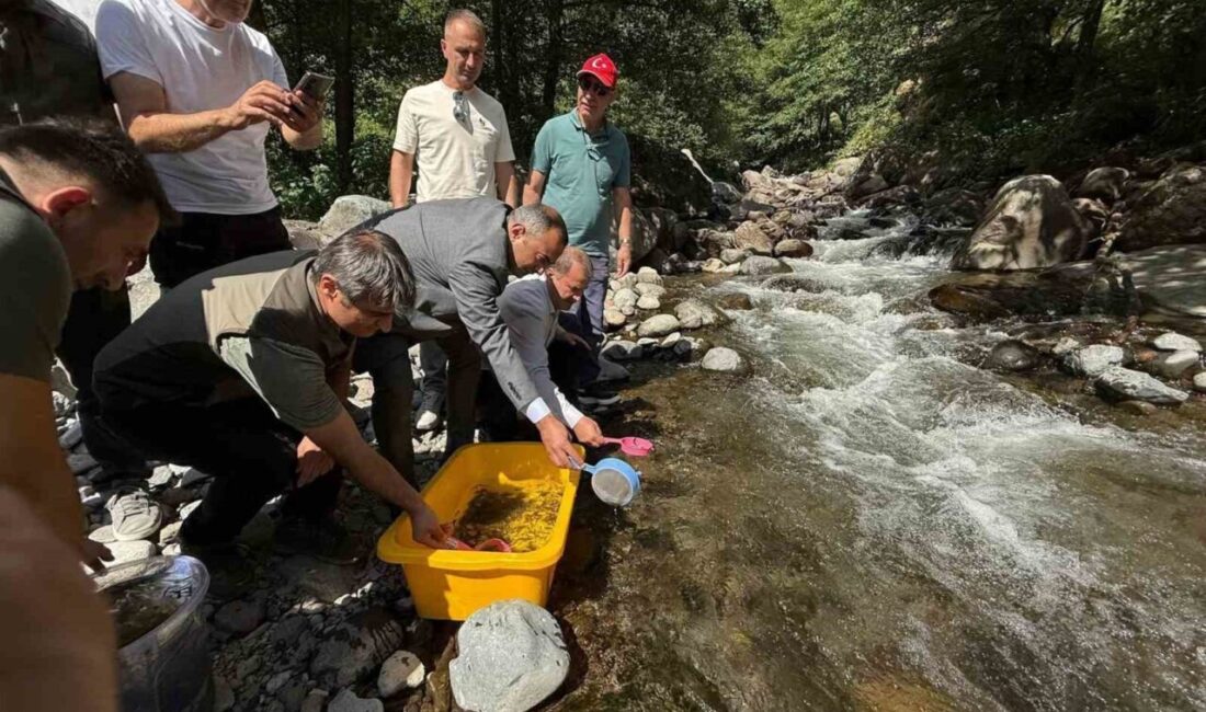 Artvin’in Şavşat ilçesine bağlı Meşeli Köyü’nde bulunan Mansurat Deresi’ne 20