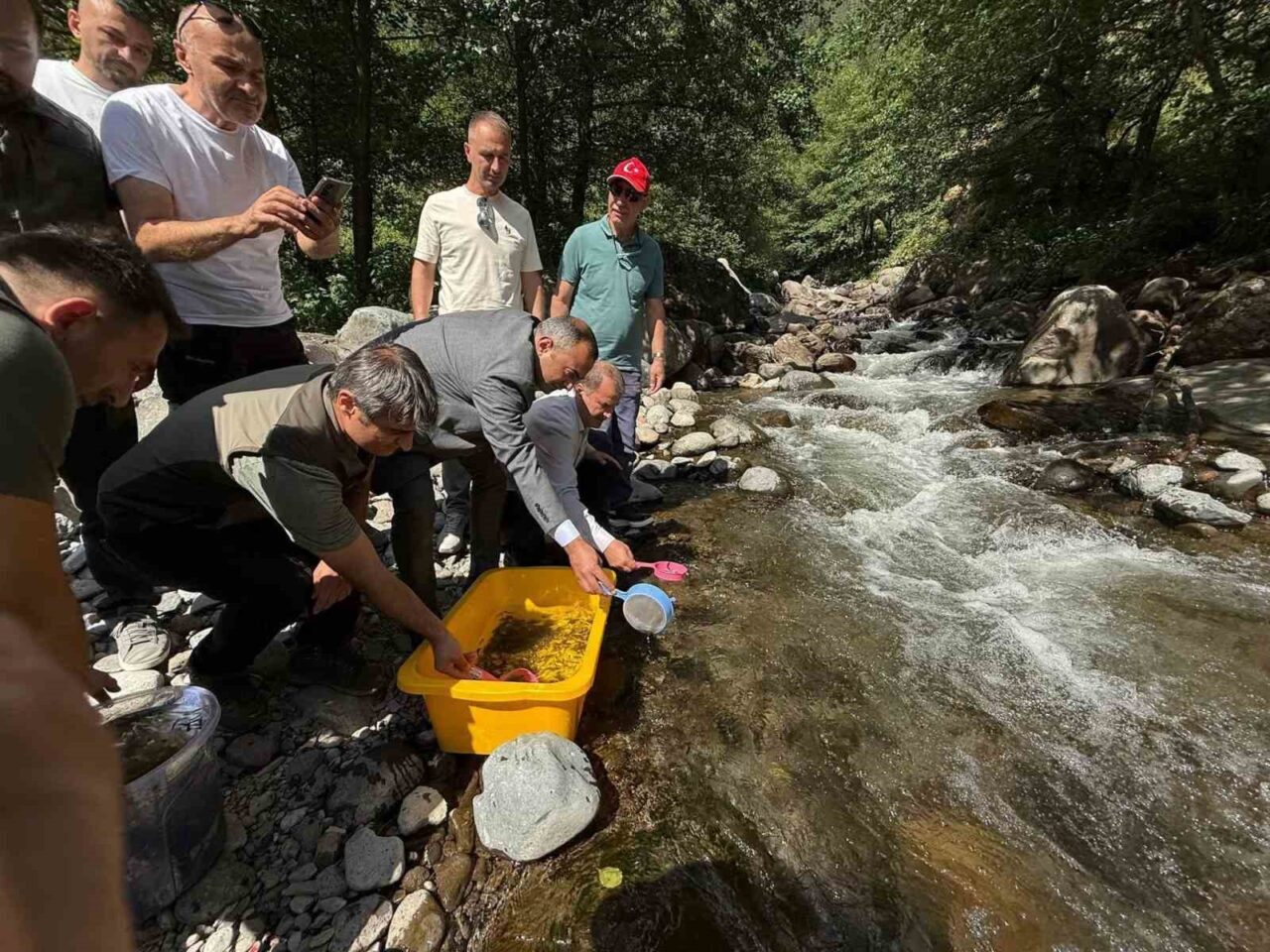 Artvin’in Şavşat ilçesine bağlı Meşeli Köyü’nde bulunan Mansurat Deresi’ne 20