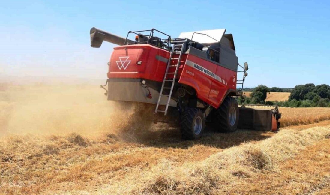 Yüzölçümünün yüzde 40’ında tarım yapılabilin Samsun’da, her yıl binlerce ton