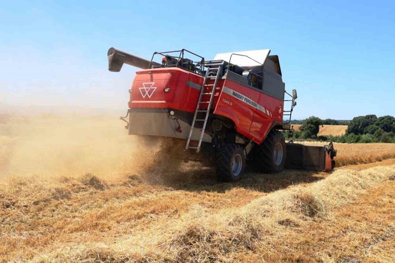 Yüzölçümünün yüzde 40’ında tarım yapılabilin Samsun’da, her yıl binlerce ton