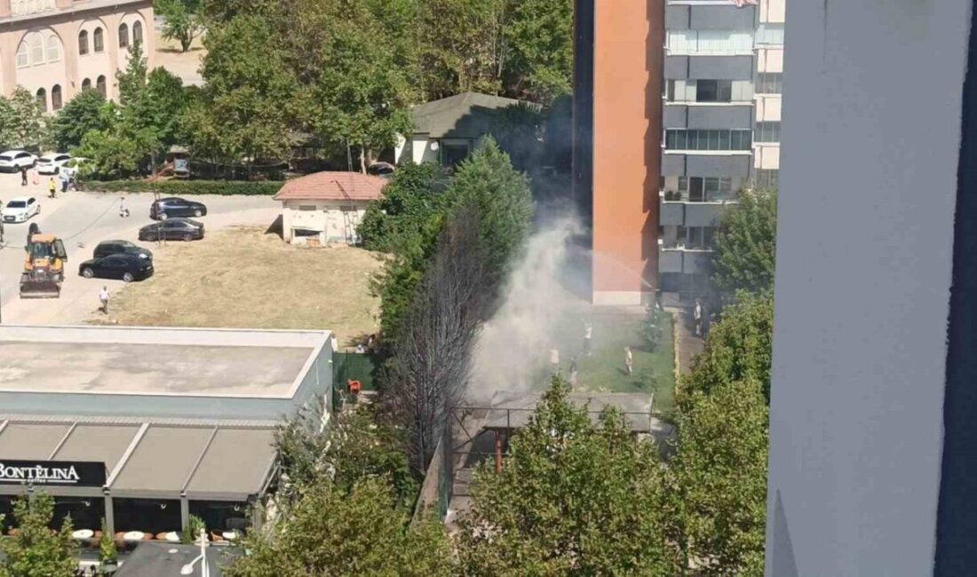 Bursa’nın merkezinde bir kafenin bulunduğu alandaki ağaçların alev alması, korku