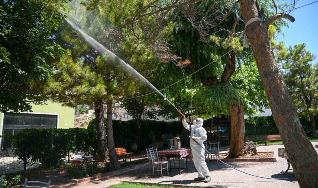 Konya’nın merkez Selçuklu İlçe Belediyesi Park ve Bahçeler Müdürlüğü ekipleri