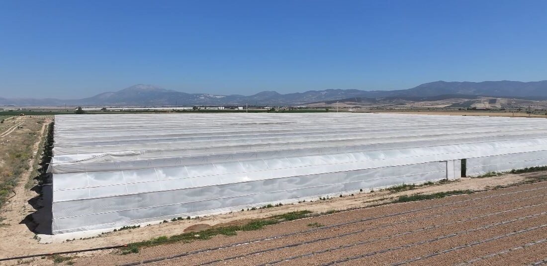 Denizli’de birkaç gün önce ilaçlama yapılan serayı temizlemek için içeriye