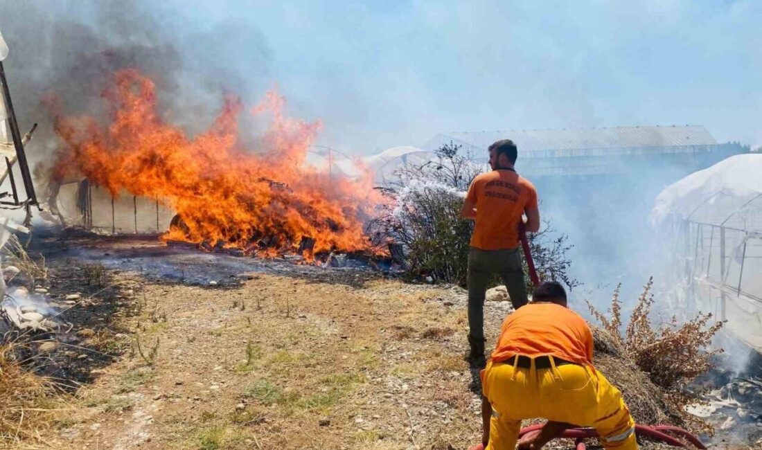 Antalya’nın Serik ilçesinde çalılık alanda çıkan yangın, rüzgarın etkisiyle seralara