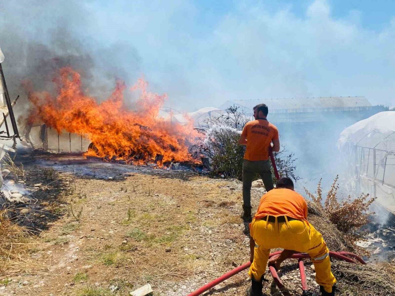 Antalya’nın Serik ilçesinde çalılık alanda çıkan yangın, rüzgarın etkisiyle seralara