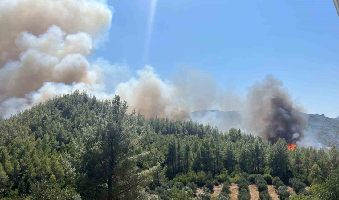 Antalya’nın Serik ilçesinde ormanlık alanda yangın çıktı. Edinilen bilgiye göre,