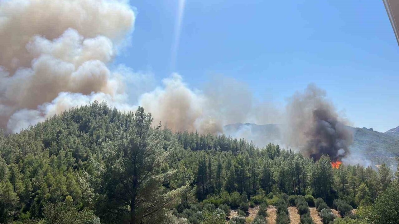 Antalya’nın Serik ilçesinde ormanlık alanda yangın çıktı. Edinilen bilgiye göre,