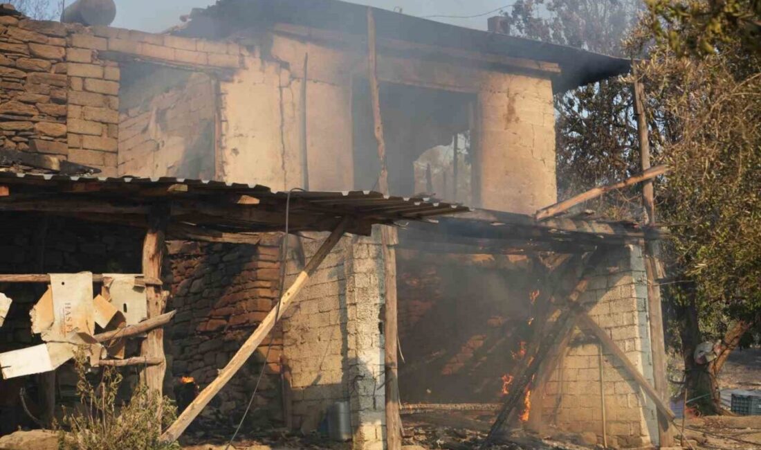 Antalya’nın Serik ilçesinde ormanlık alanda çıkan yangında 3 ev ve