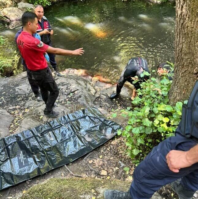 İstanbul Çatalca’da, bir kişi serinlemek için girdiği Binkılıç Şelalesi’nde boğuldu.