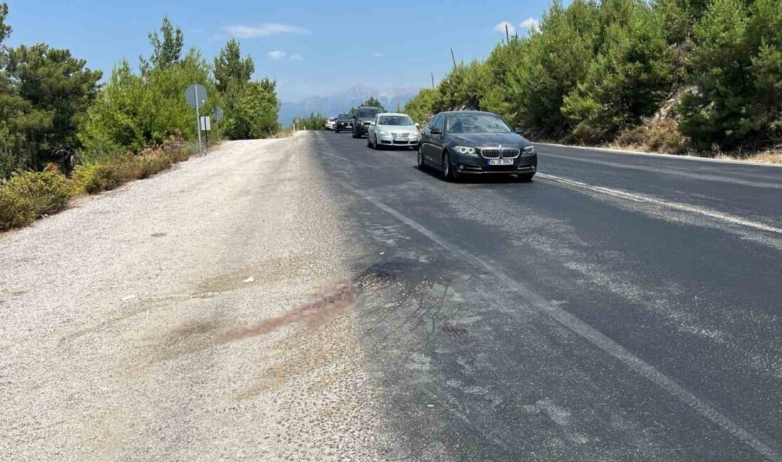 Muğla’nın Seydikemer ilçesinde yolun karşısına geçmeye çalışan bir yaya, otobüsün