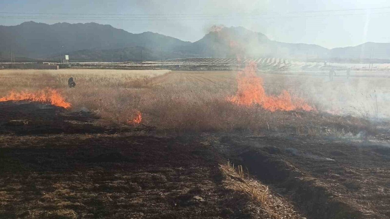 Konya’nın Seydişehir ilçesinde çıkan yangında, 4 dönümlük ekili tarım arazisi