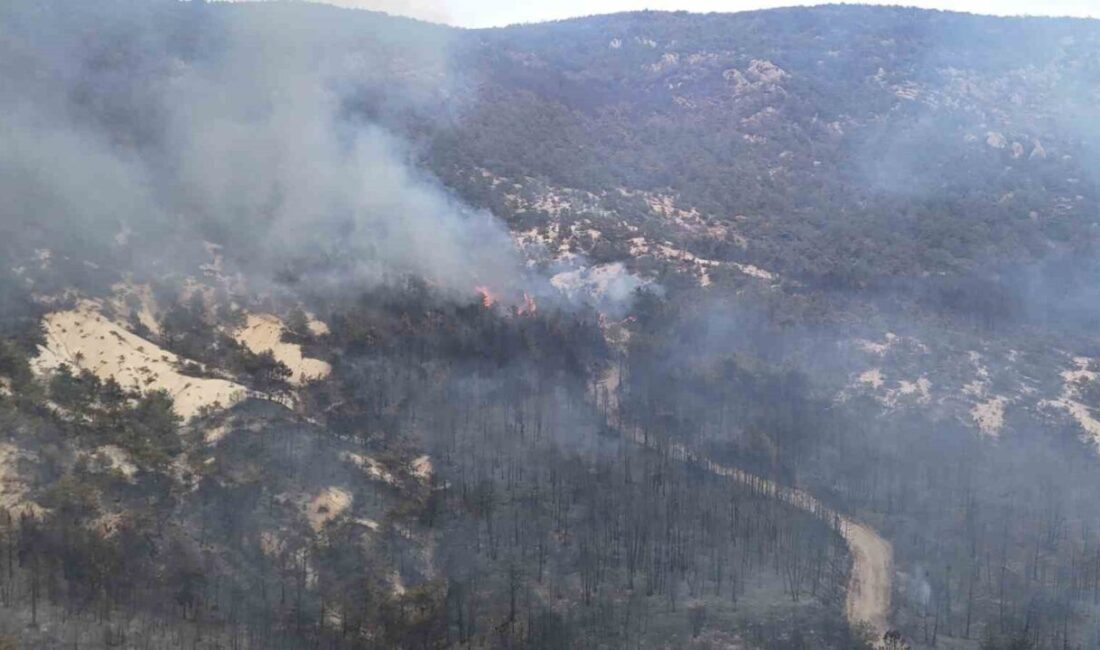 Eskişehir’in Seyitgazi ilçesinde çıkan ve Afyonkarahisar’ın Sarıcaova Mahallesi’ne sıçrayan yangının