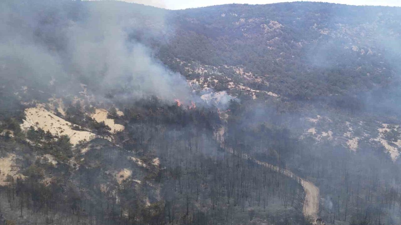 Eskişehir’in Seyitgazi ilçesinde çıkan ve Afyonkarahisar’ın Sarıcaova Mahallesi’ne sıçrayan yangının