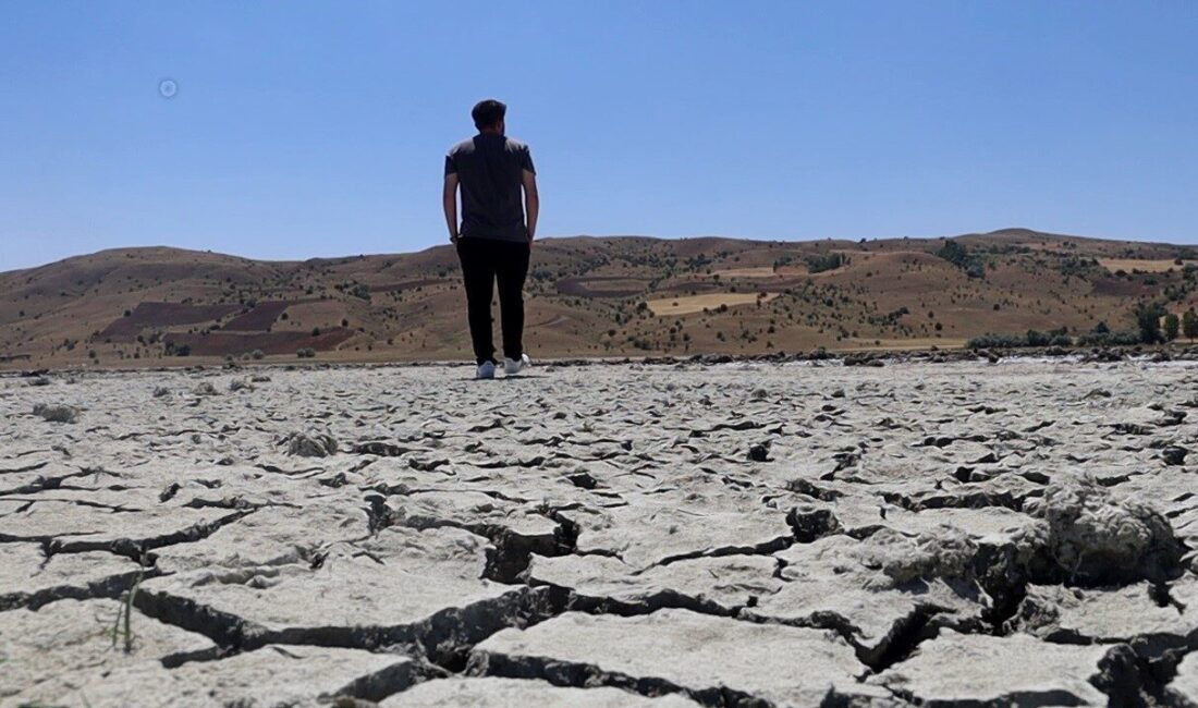 Sivas’ta köye adını veren ve birçok göçmen kuşa ev sahipliği