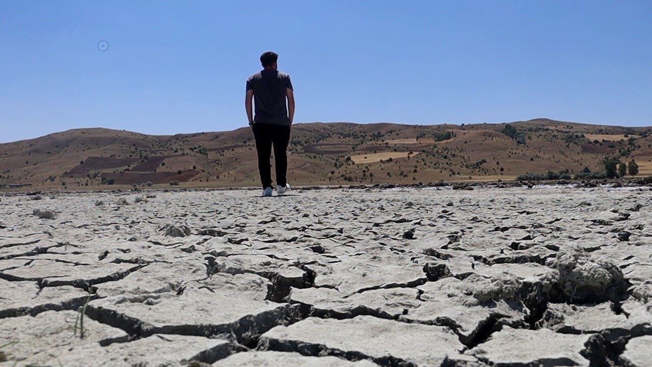 Sivas’ta köye adını veren ve birçok göçmen kuşa ev sahipliği