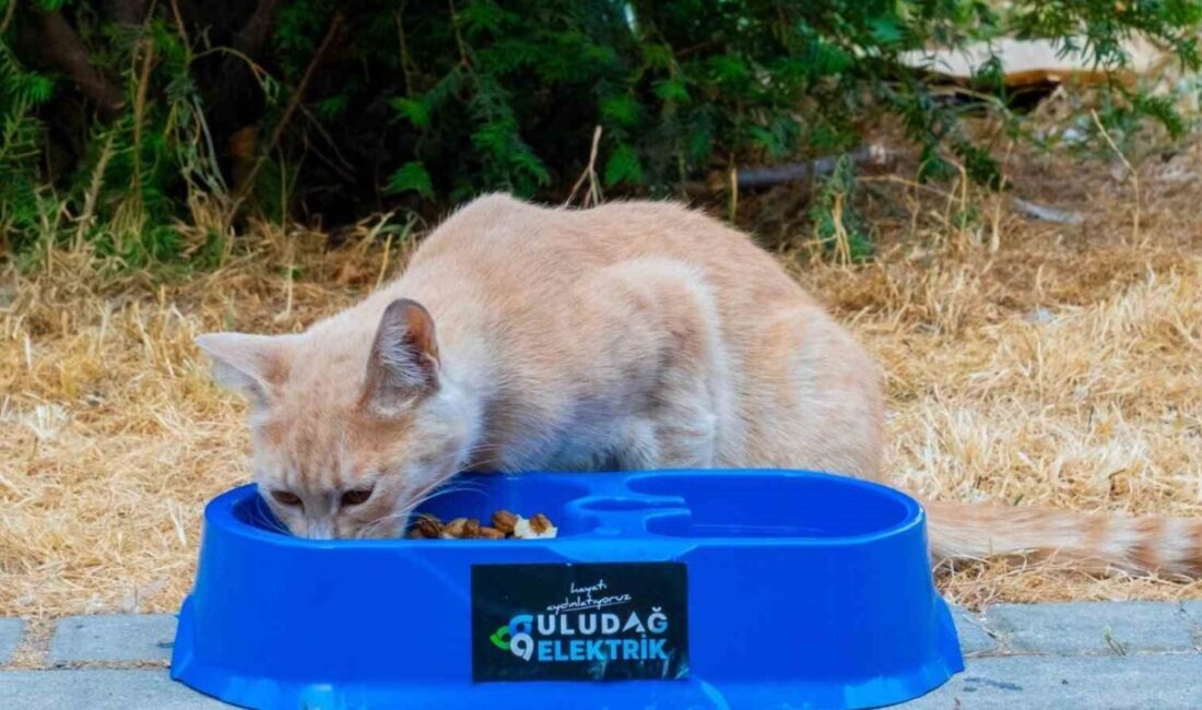 Uludağ Elektrik, ’Sevgimiz, Enerjimiz Sizinle’ projesiyle, yaz aylarında artan sıcaklık