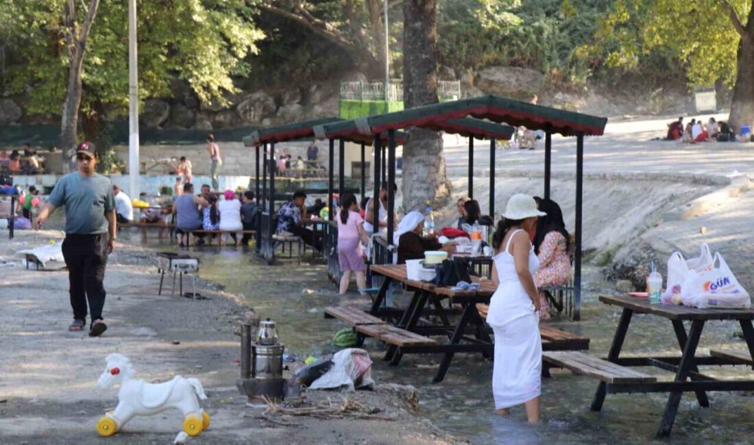 Mevsim normallerinin üzerinde seyreden hava sıcaklıklarından bunalan Denizlililer mesire alanlarına