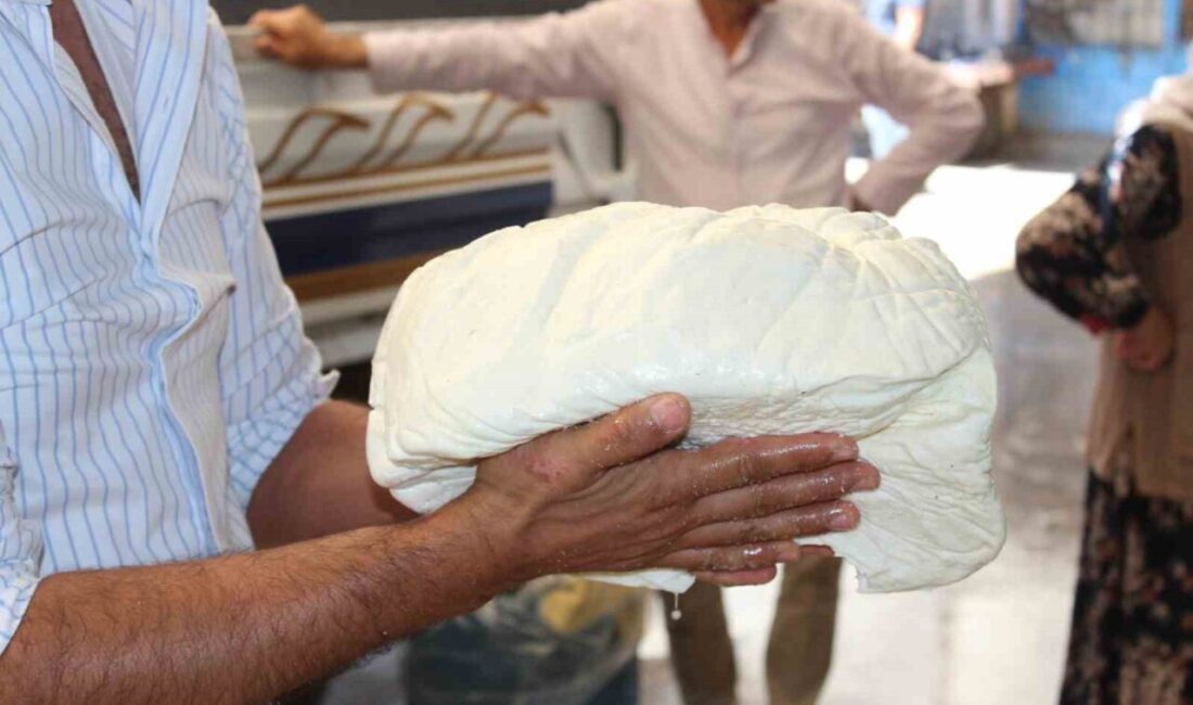 Siirt’te peynir sezonunda hem üretimde hem de talepte artış yaşanıyor.
