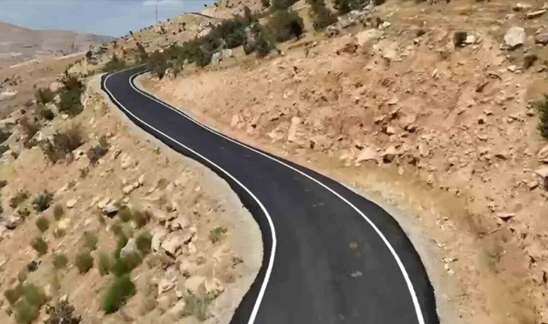 Siirt Valisi ve Belediye Başkan Vekili Dr. Kemal Kızılkaya, il