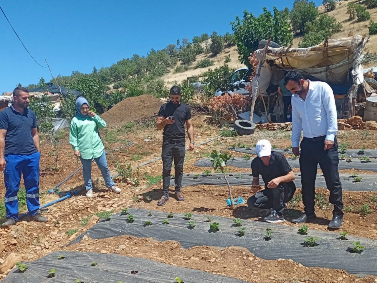 Siirt’te tarımsal üretimin sürdürülebilirliğini sağlamak ve verimliliği artırmak amacıyla yürütülen