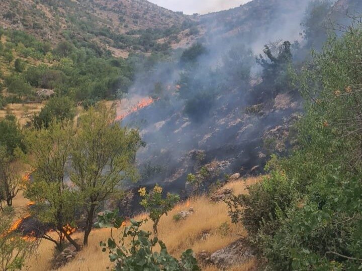 Siirt’in Eruh ilçesinde çıkan yangında yaklaşık 2 dönümlük arazi zarar