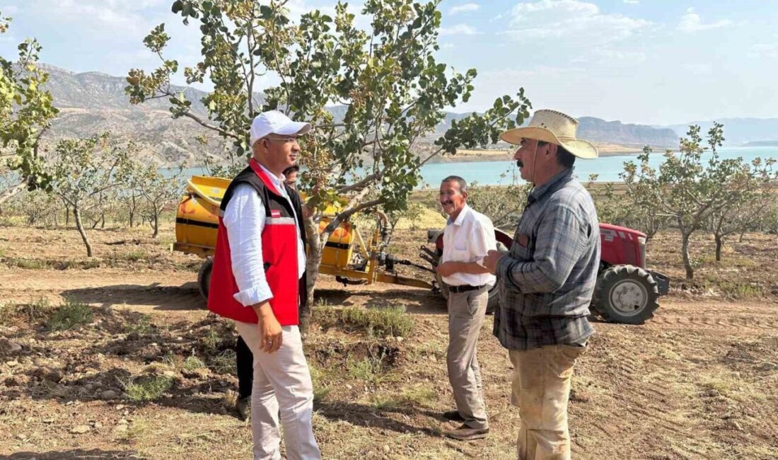 Siirt İl Tarım ve Orman Müdürü Mustafa Şanverdi, kentte son