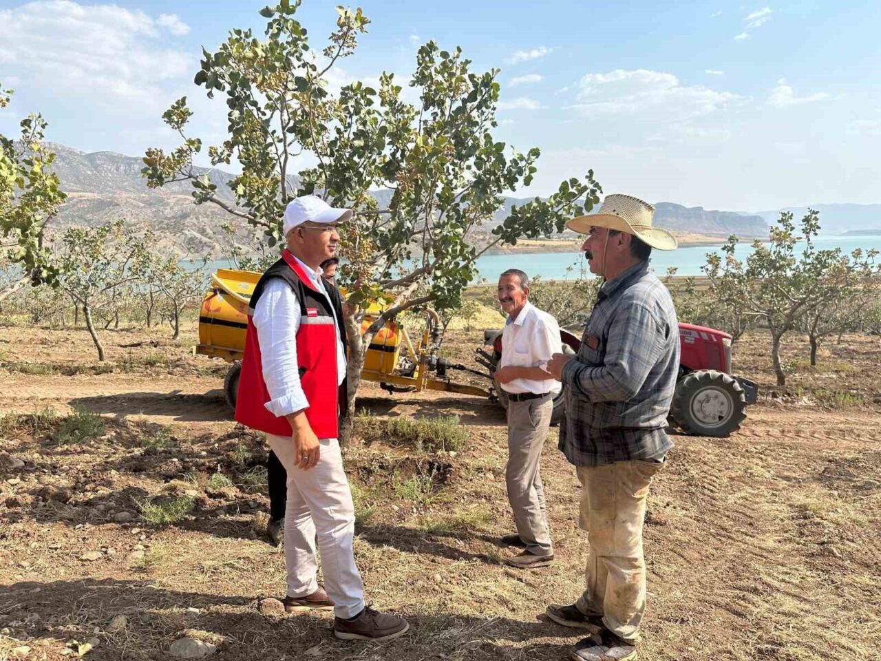 Siirt İl Tarım ve Orman Müdürü Mustafa Şanverdi, kentte son