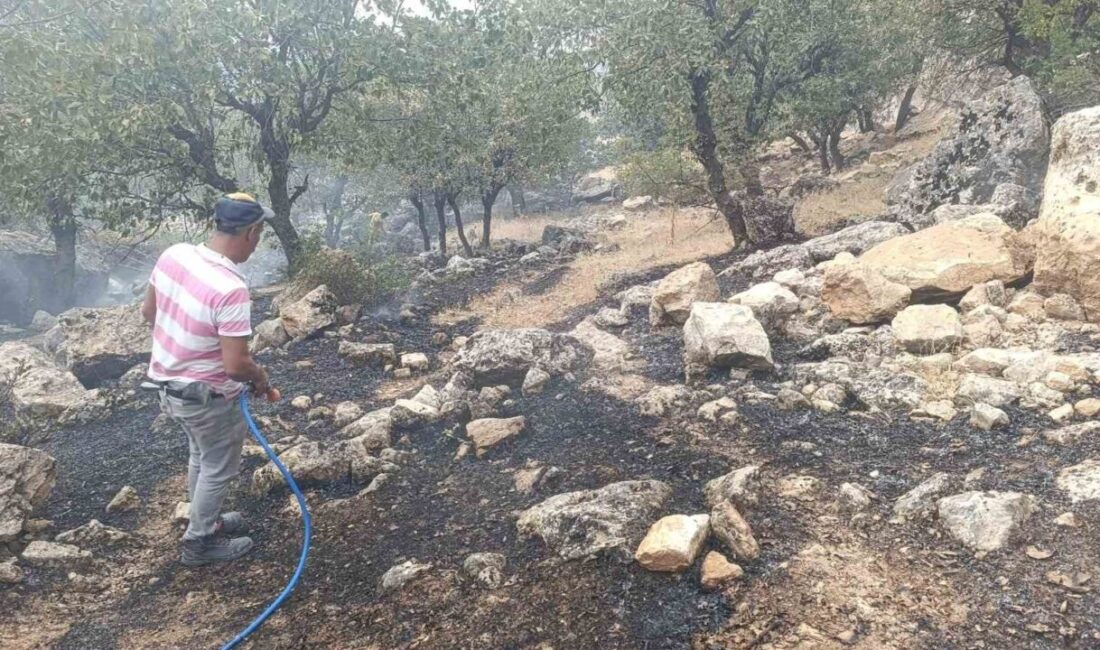 Siirt’in Şirvan ilçesine bağlı Derinçay köyünde çıkan orman yangını, erken