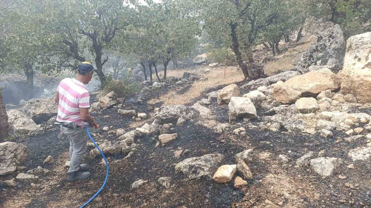 Siirt’in Şirvan ilçesine bağlı Derinçay köyünde çıkan orman yangını, erken