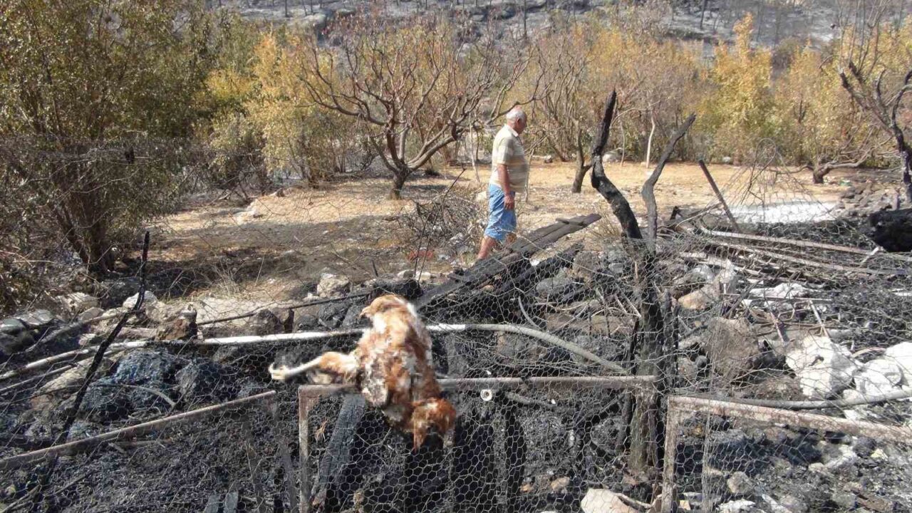 MERSİN (İHA) – Mersin’in Silifke ilçesinde dün çıkan ve geniş
