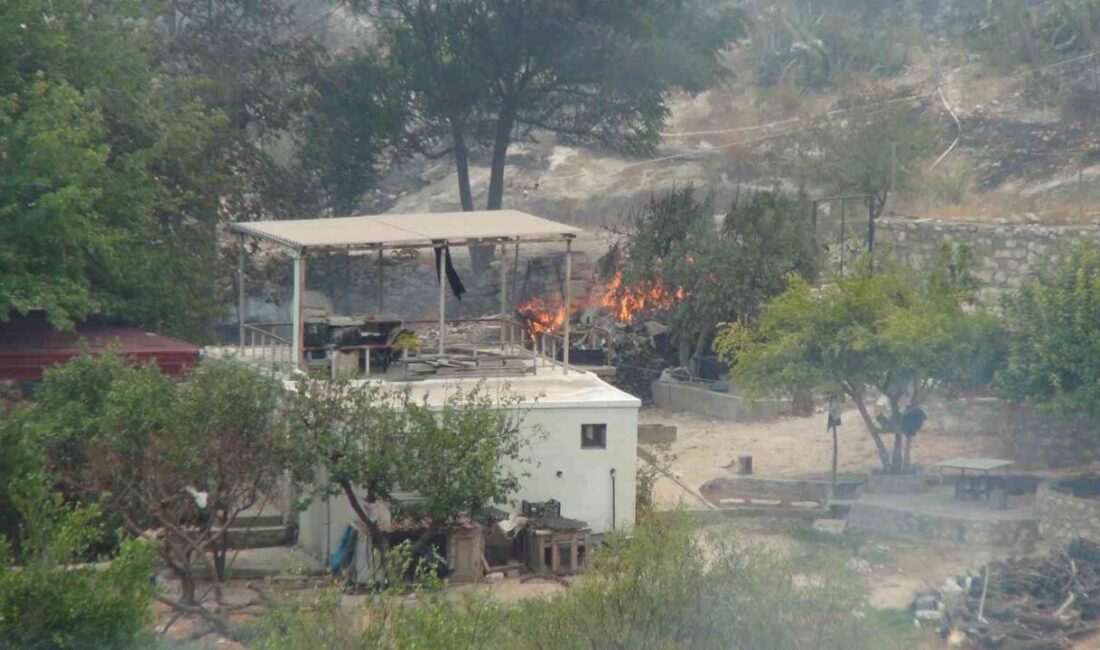 Mersin’in Silifke ilçesinde çıkan orman yangınına müdahale aralıksız devam ediyor.