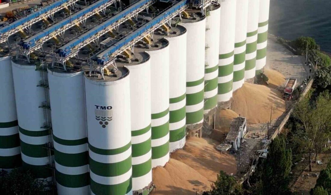 Kocaeli’de 2 kişinin hayatını kaybettiği Toprak Mahsulleri Ofisi (TMO) silo