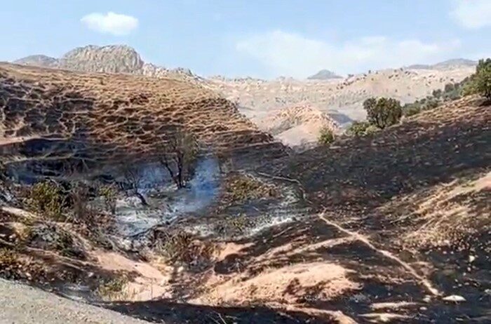 Şırnak’ın Silopi ilçesine bağlı Çalışkan beldesinde çıkan örtü yangını, itfaiye
