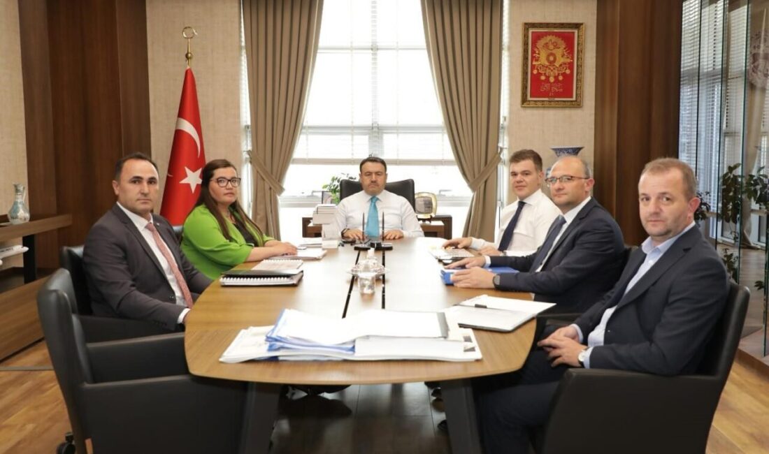 Kütahya’nın Simav ilçesindeki jeotermal kaynakların daha etkin ve verimli şekilde