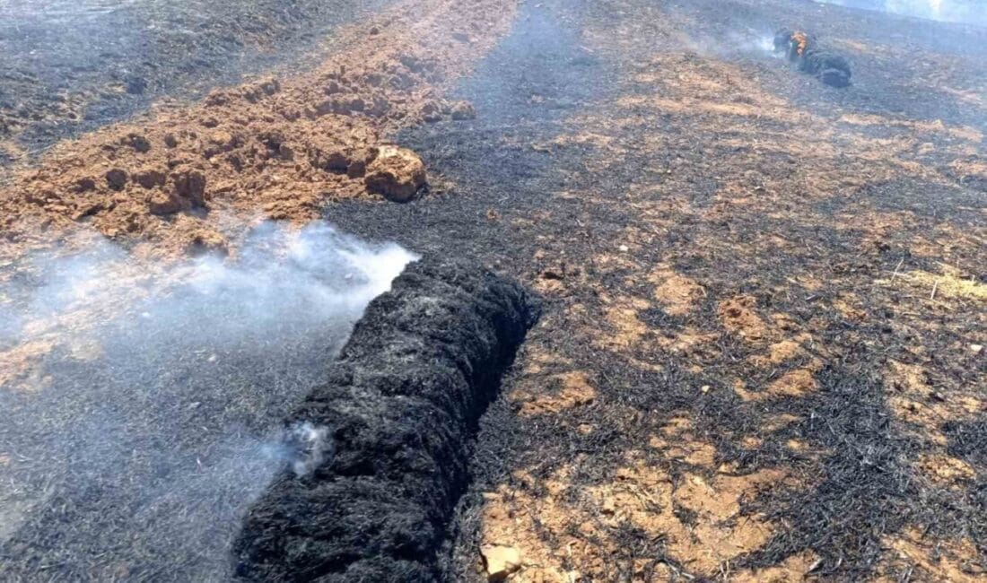 Balıkesir’in Sındırgı ilçesinde tarladan biçilen ve balyalanmak için bekleyen samanlar