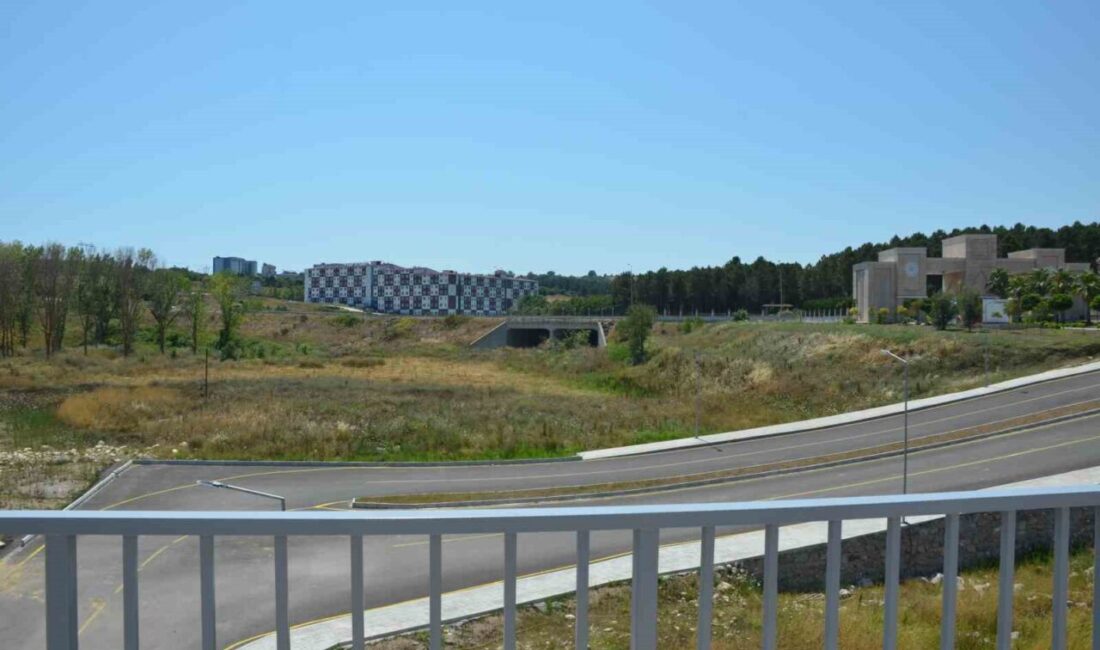 Sinop’ta kurulacak Teknoloji Geliştirme Bölgesi (Teknopark), şehrin akademik birikimini sanayiyle