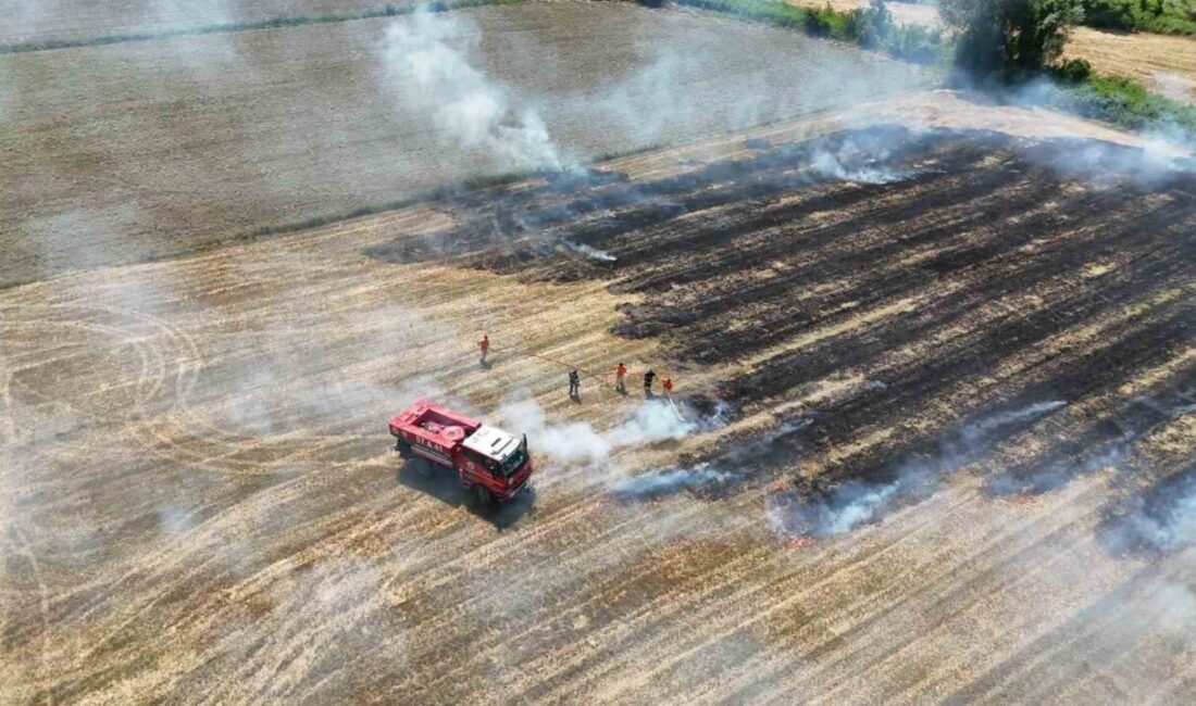 Sinop’ta çıkan anız yangını çevre paniğe yol açtı. Yangın, Sinop’un