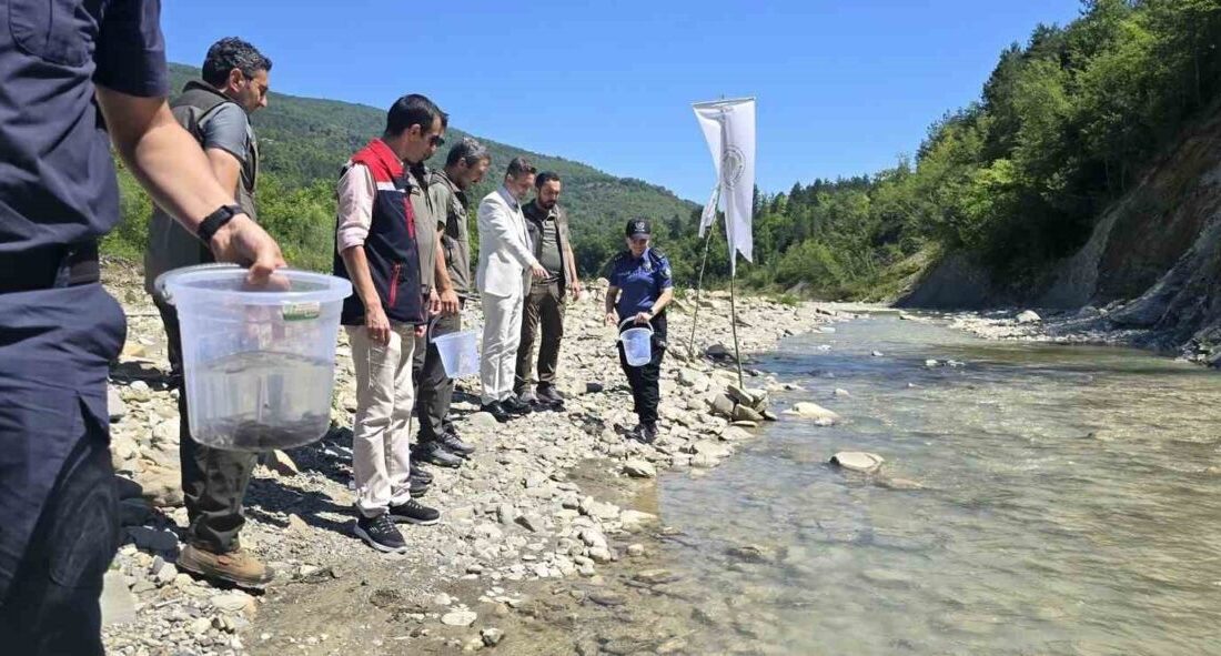 Sinop’un Ayancık ilçesinde Doğa Koruma ve Milli Parklar Müdürlüğü tarafından