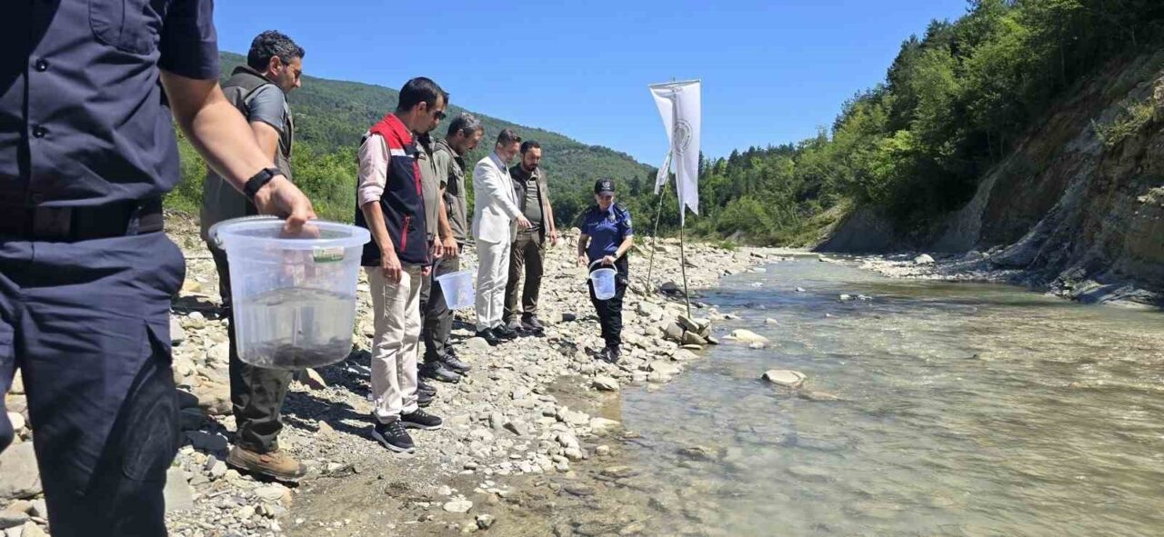 Sinop’un Ayancık ilçesinde Doğa Koruma ve Milli Parklar Müdürlüğü tarafından